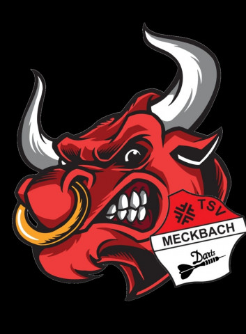 Mannschaft: TSV Meckbach Darts Pokal